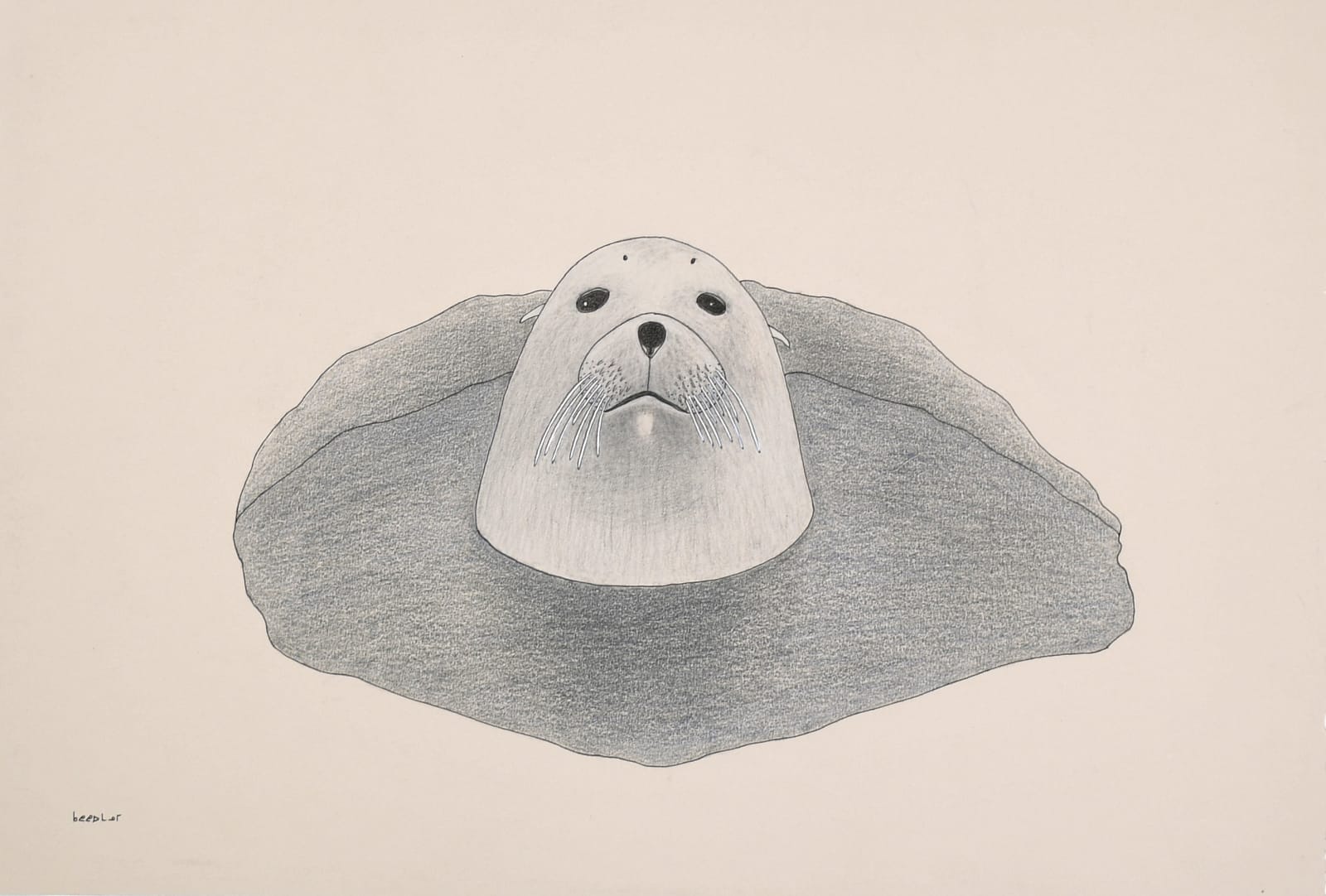 Seal Emerging