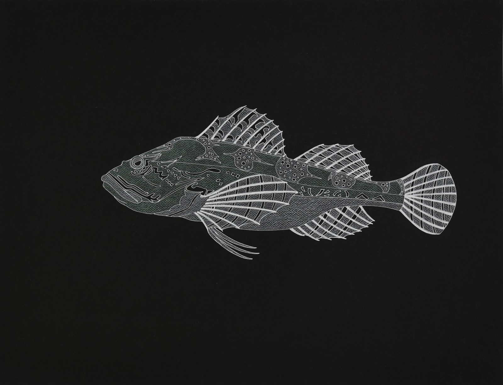 Sculpins