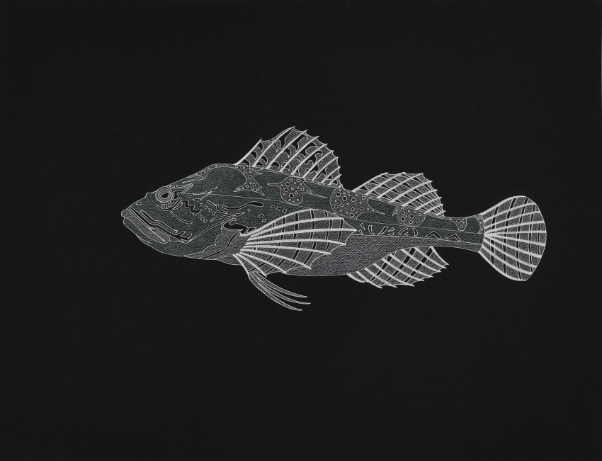 Sculpins