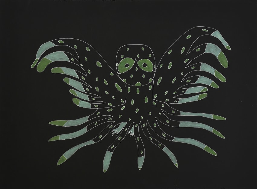 Hunting Owl at Night