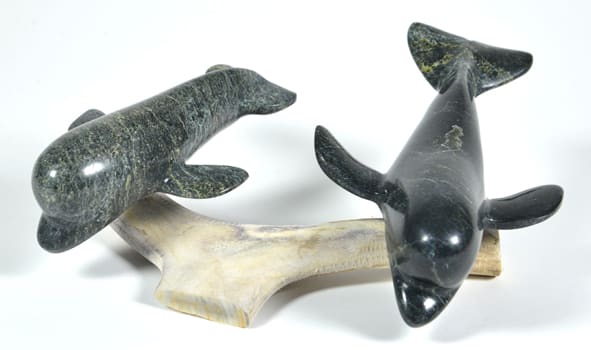 Whales on Base