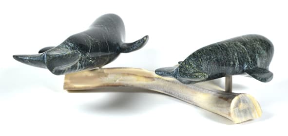 Whales on Base