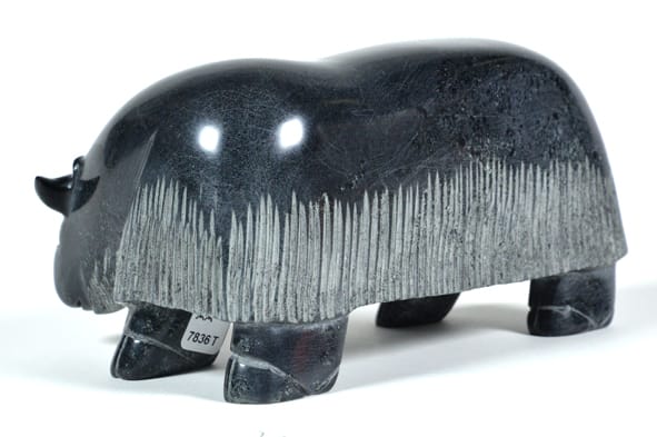 Muskox (7836T)