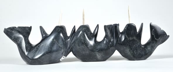 Narwhales