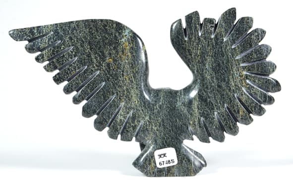 Owl (6748S)