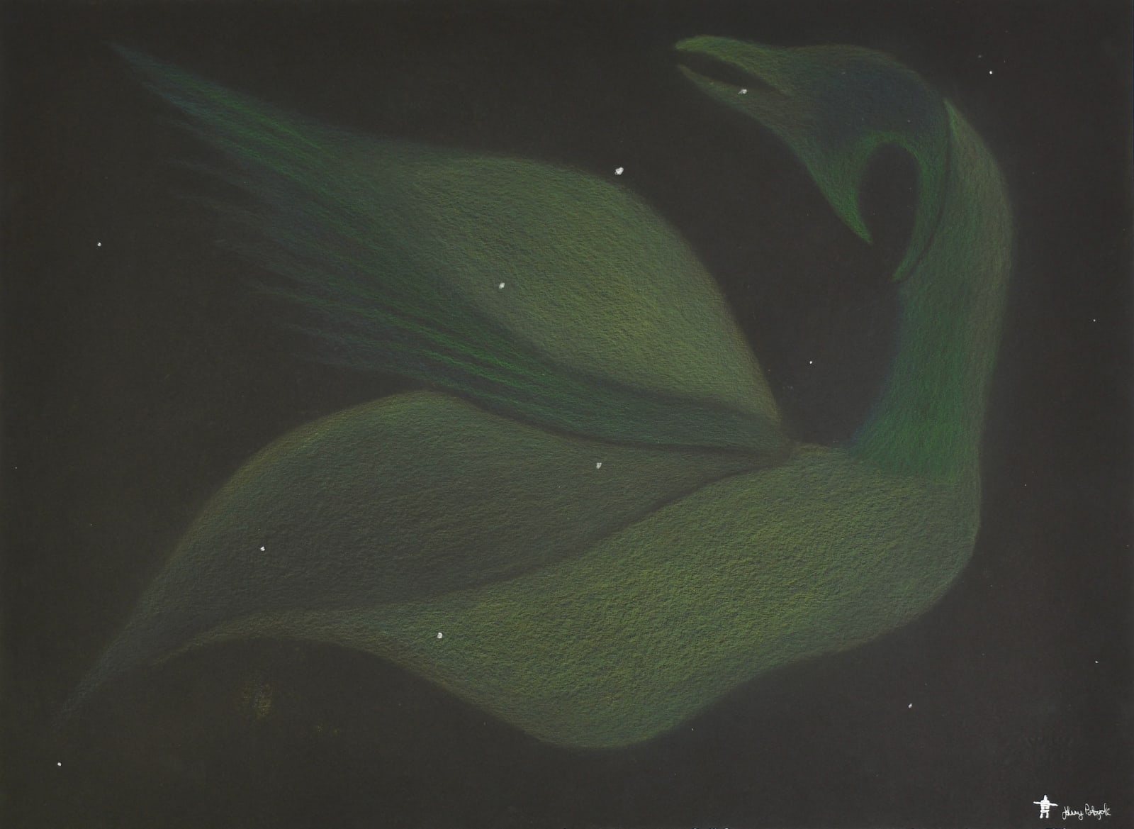 Goose Shaped Aurora