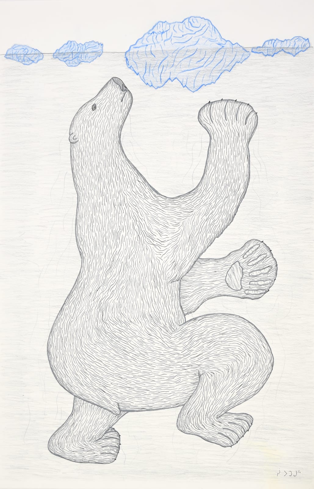 Swimming Bear