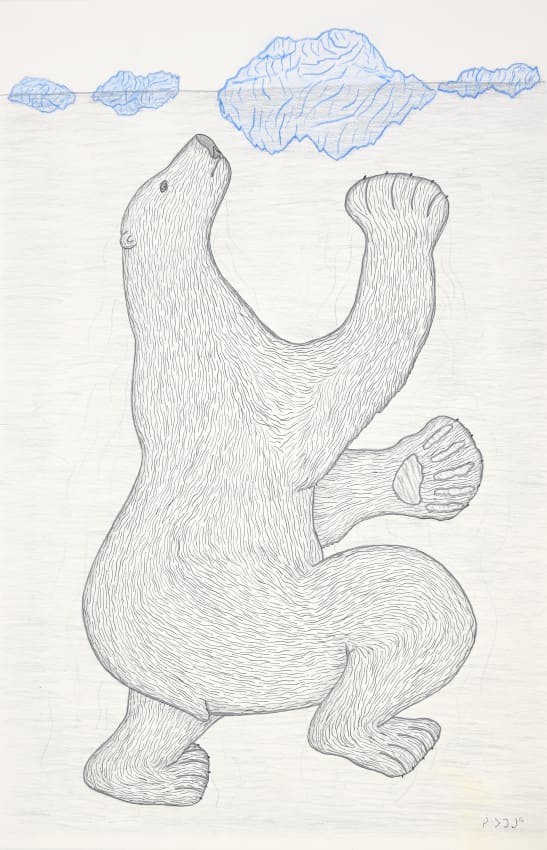 Swimming Bear