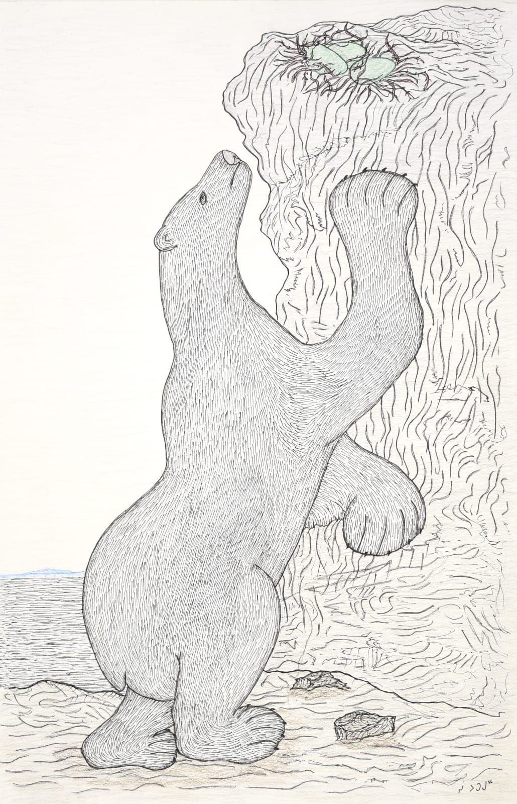 Nanook Reaching for Eggs