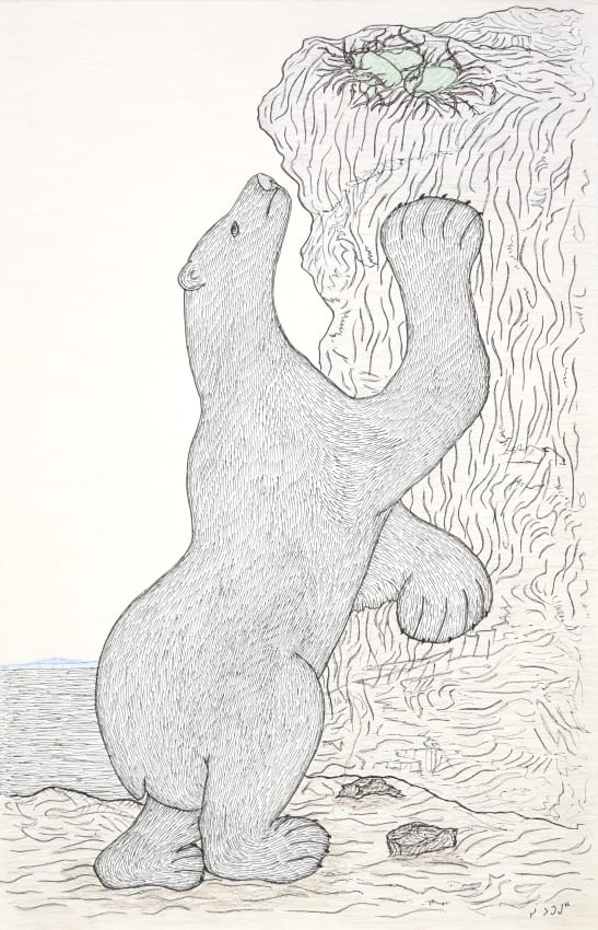 Nanook Reaching for Eggs