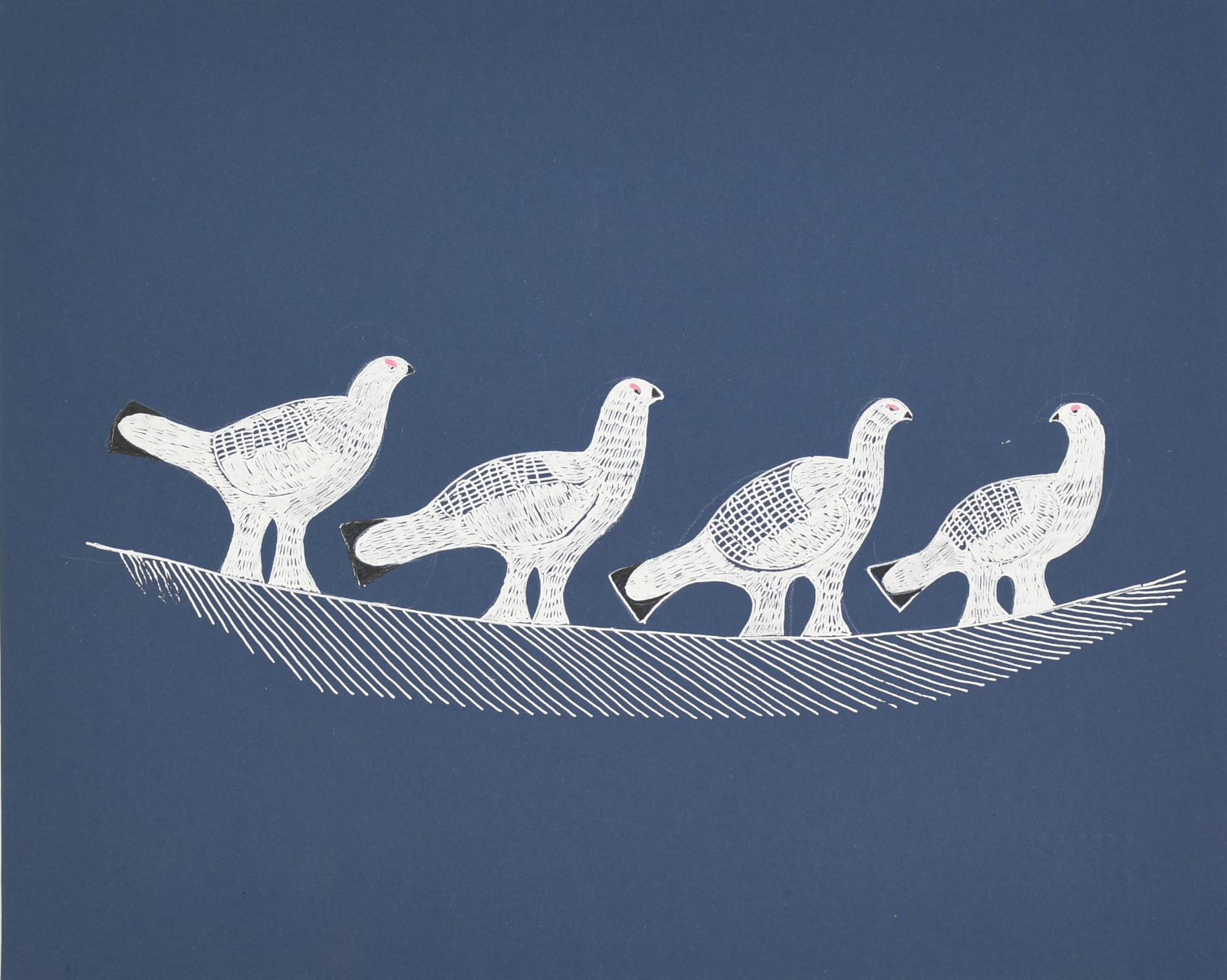 Birds of a Feather