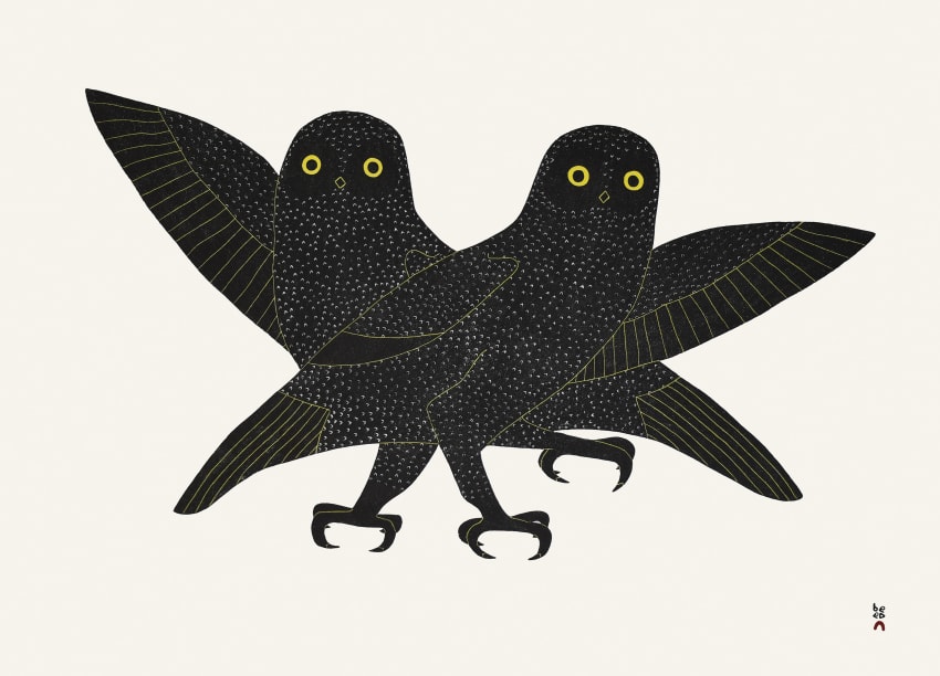 Ijingi Qaumajuuk (Bright Eyes)