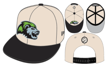 Niagara River Lions 9FIFTY White NRL Snapback