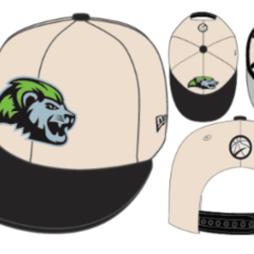 Niagara River Lions 9FIFTY White NRL Snapback