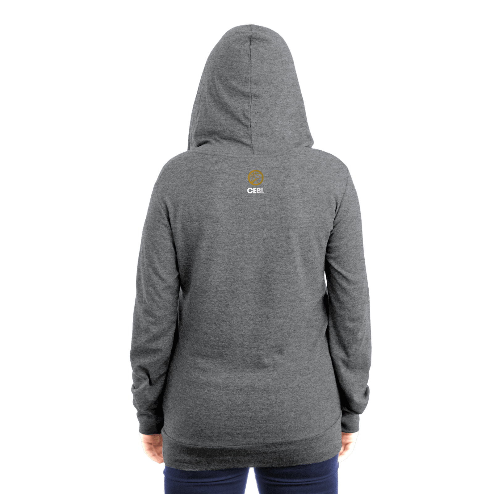 Niagara River Lions Women's Primary Block Hoodie