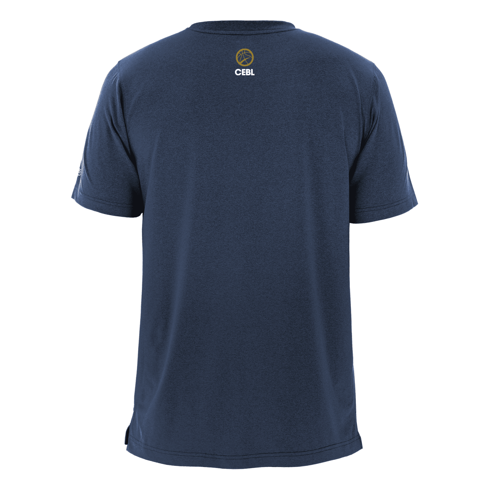 Niagara River Lions Wordmark Tee