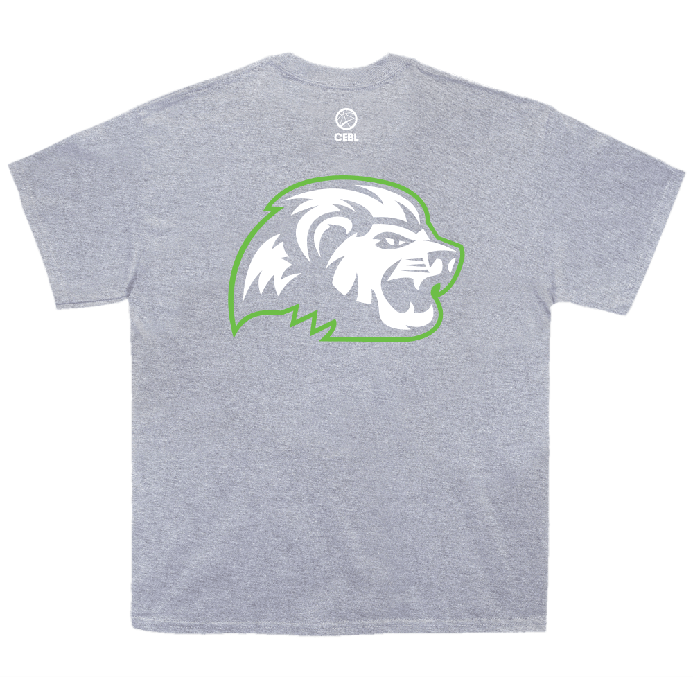 Niagara Basketball Adult Tee - Grey