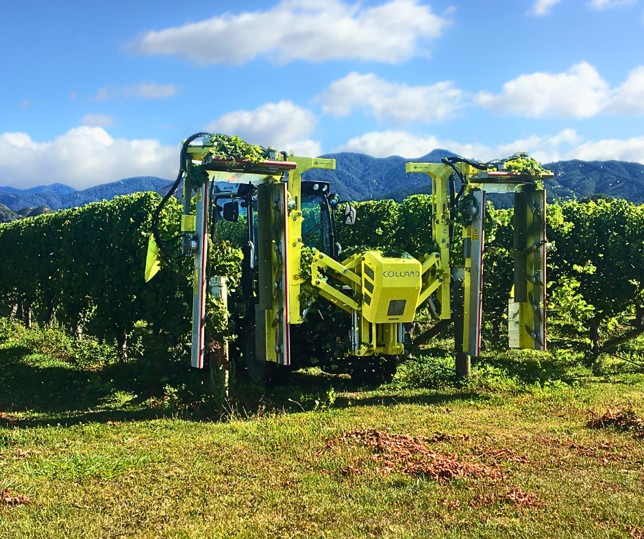 Collard P3200X Double U Trimmer/Hedger