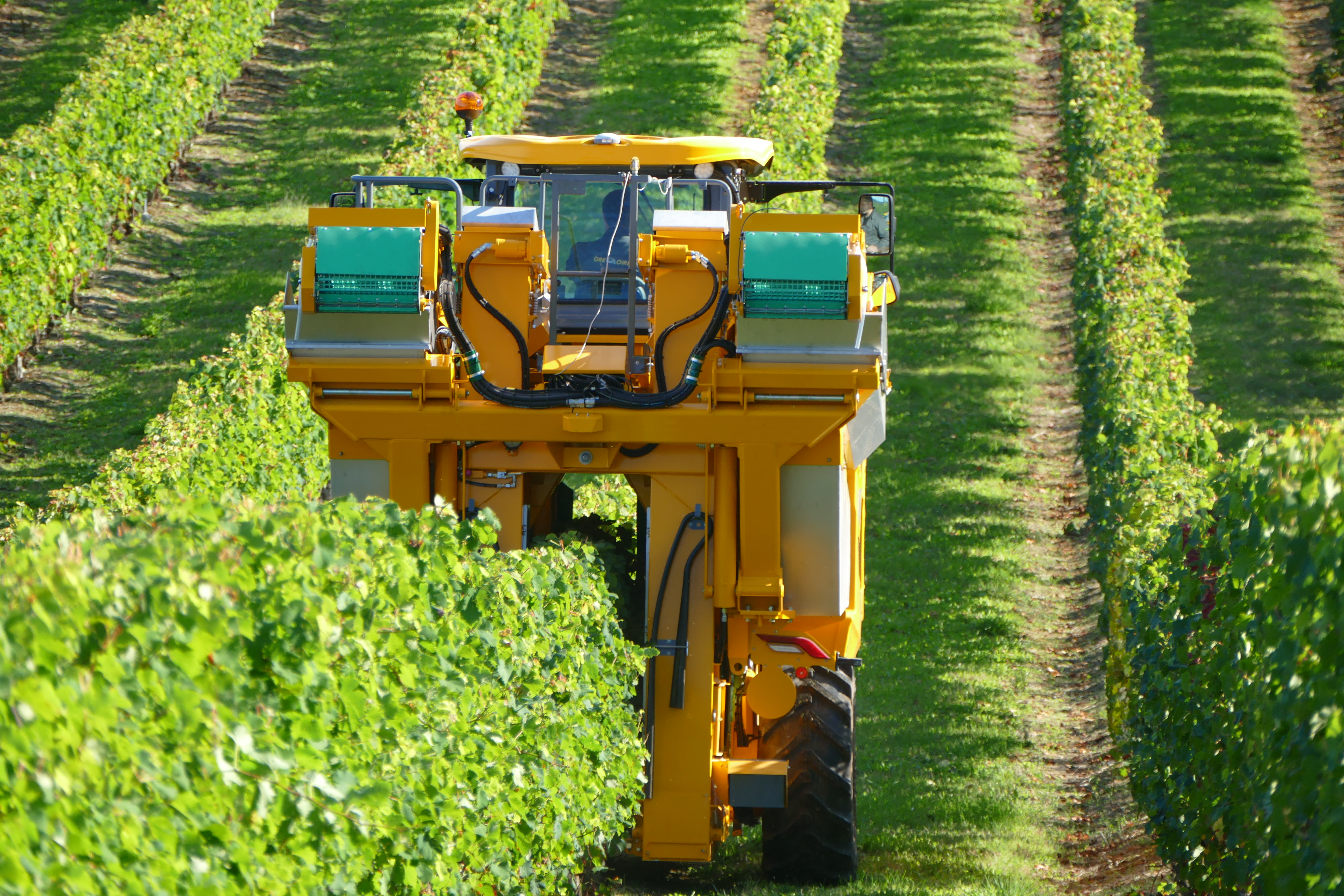Gregoire GL7 Series Grape Harvester