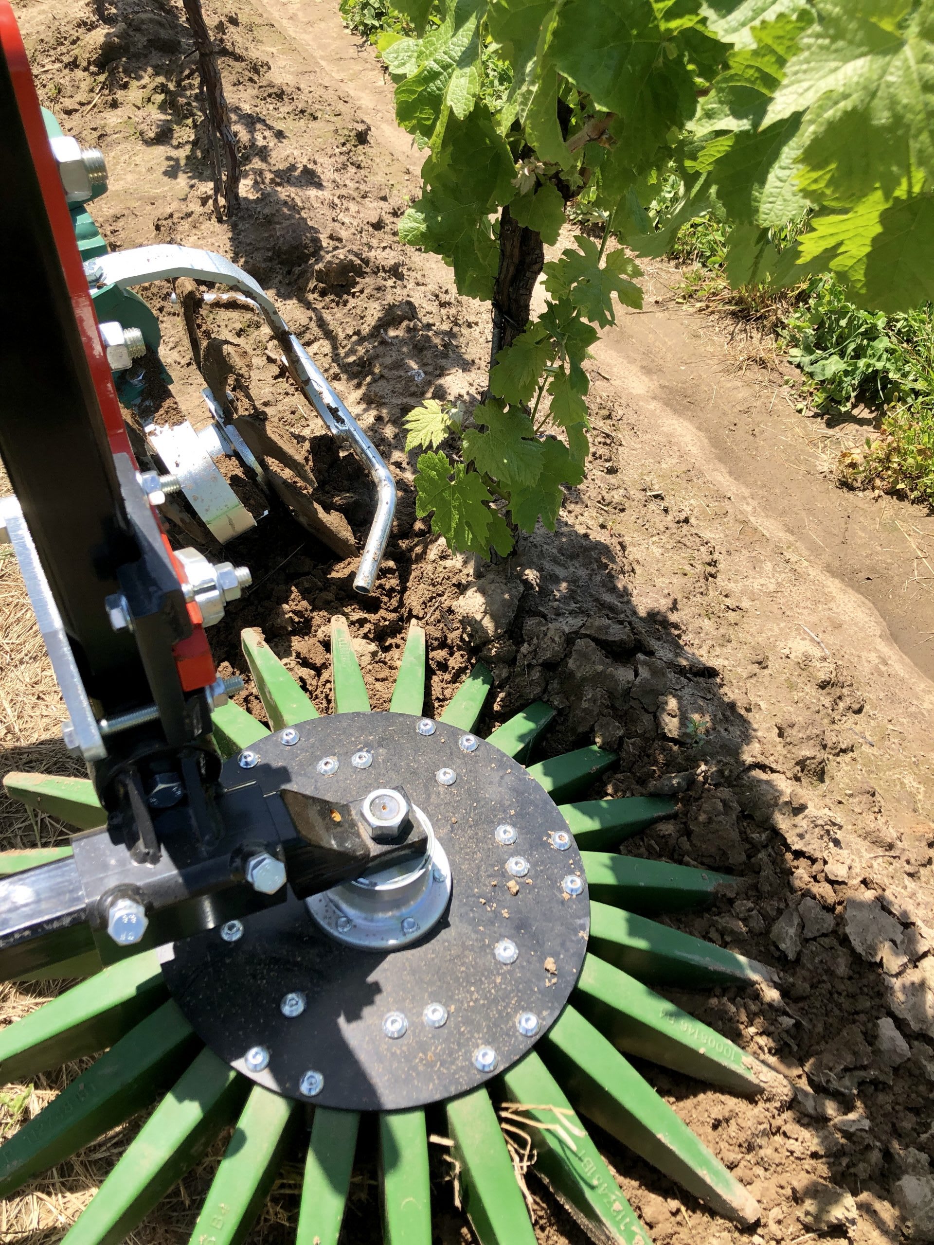 Clemens Finger Roller/Weeder