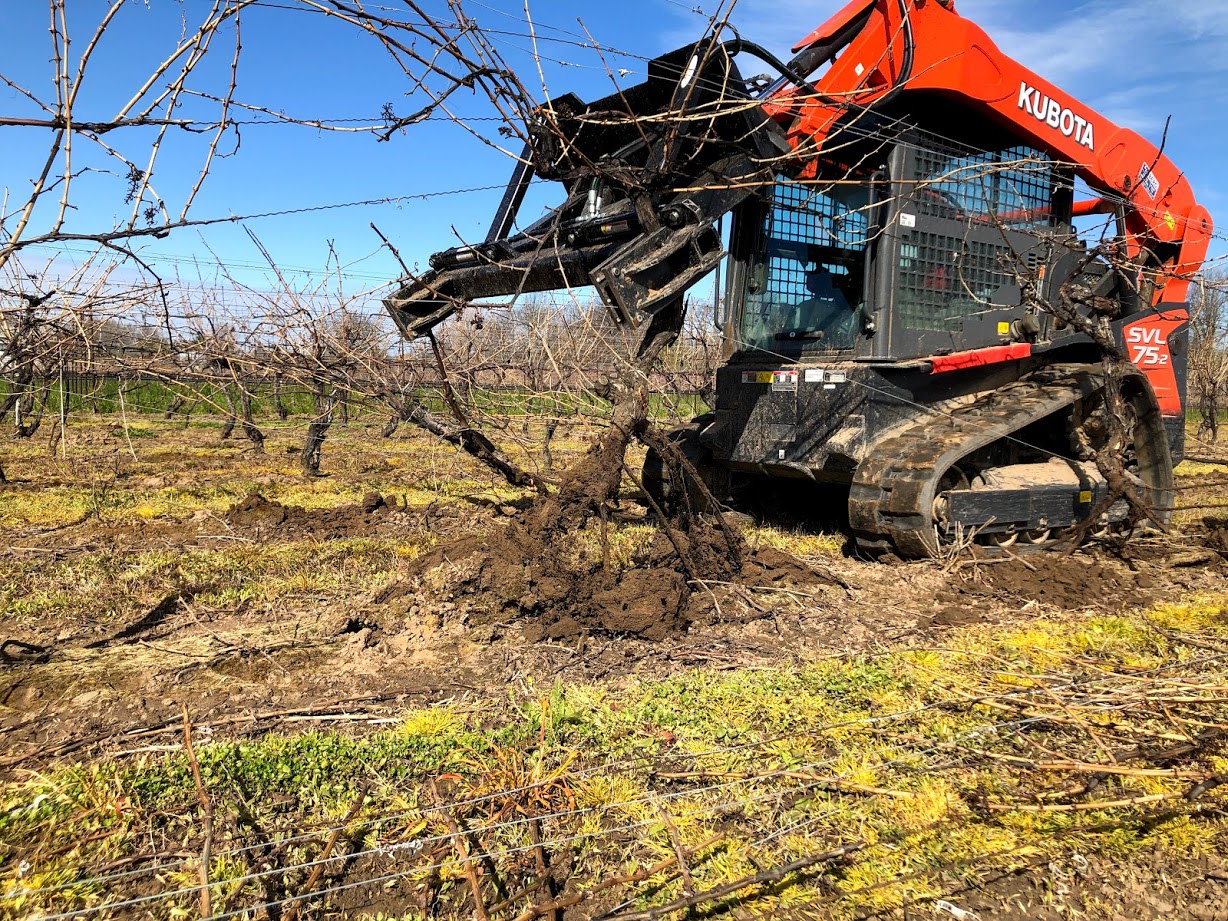 NEW LVE Vine Puller