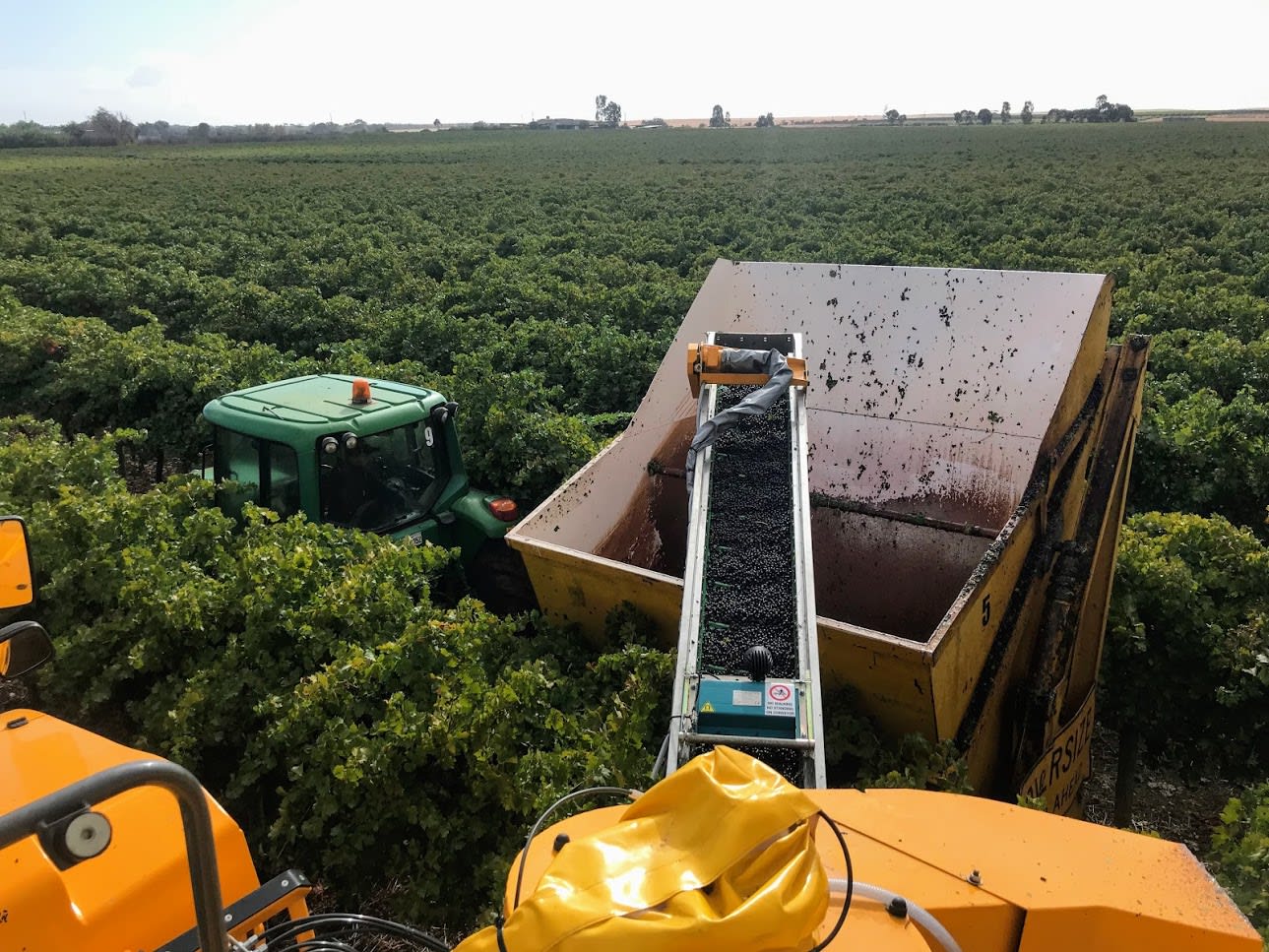 NEW GX9 Series Grape Harvester