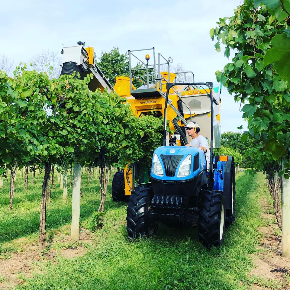 2015 Gregoire G3.220 Bin/Discharge Arm Tow-Behind Grape Harvester
