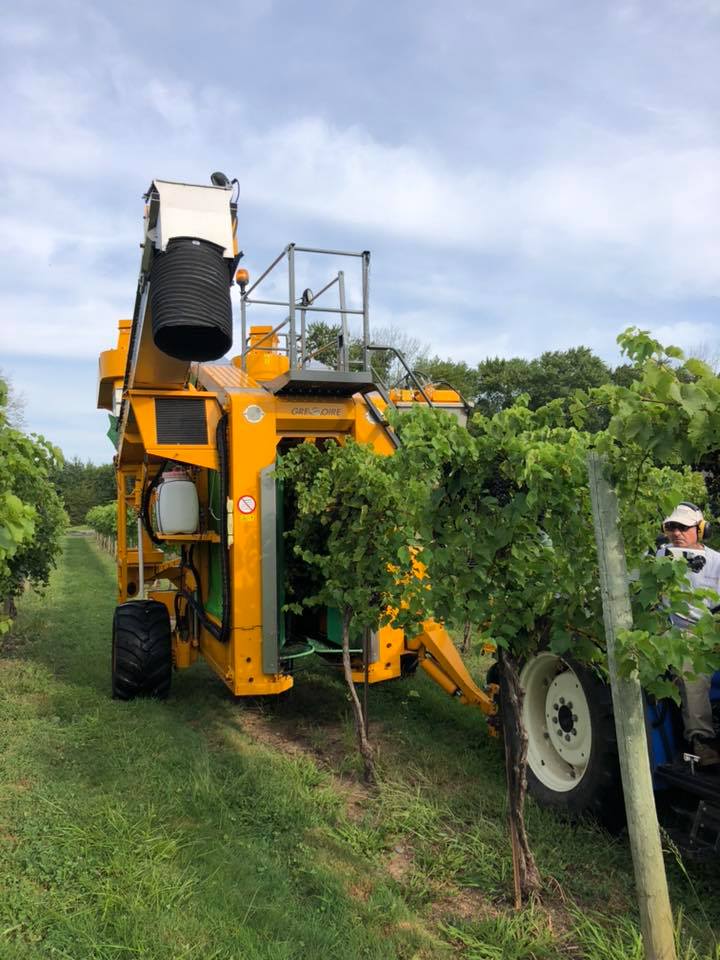 2015 Gregoire G3.220 Bin/Discharge Arm Tow-Behind Grape Harvester