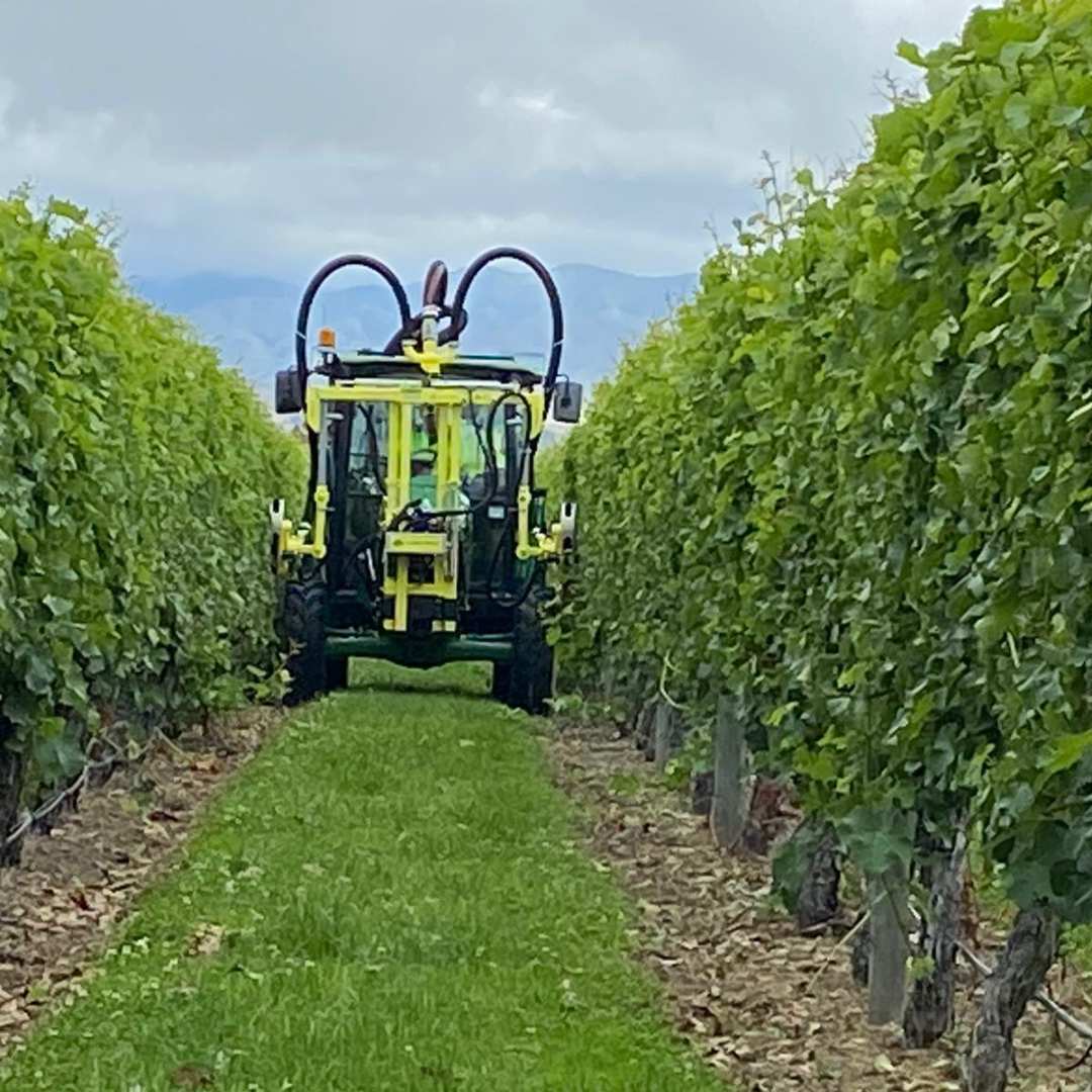 Collard E2200F MAX Leaf Remover