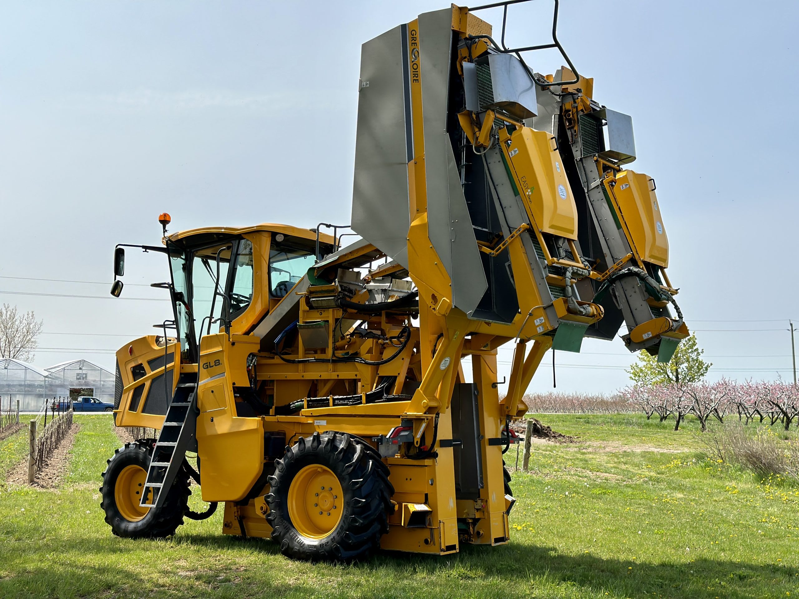 2019 Gregoire GL8.6 EASYClean Grape Harvester