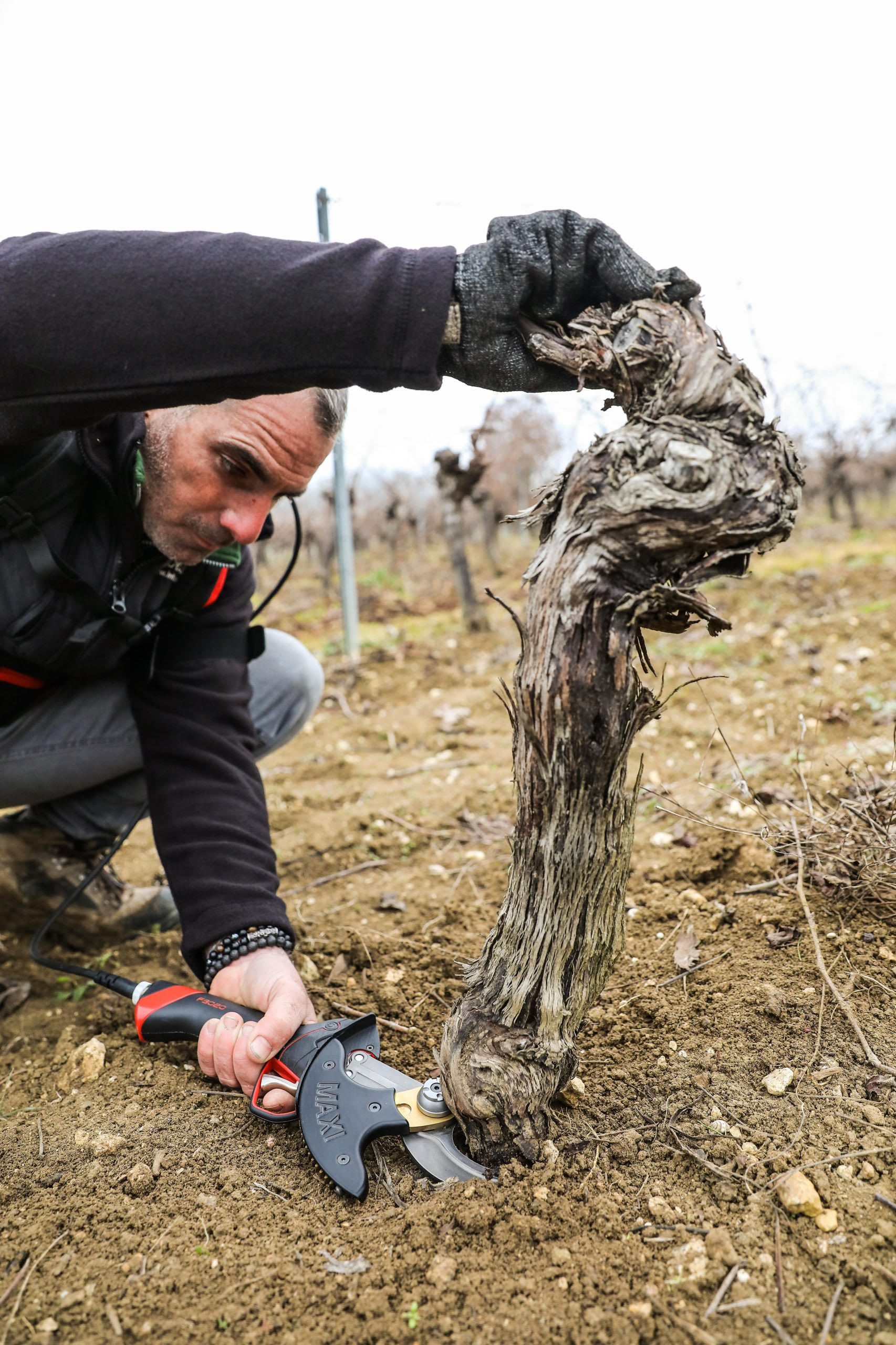 INFACO F3020 Electric Pruning Shear