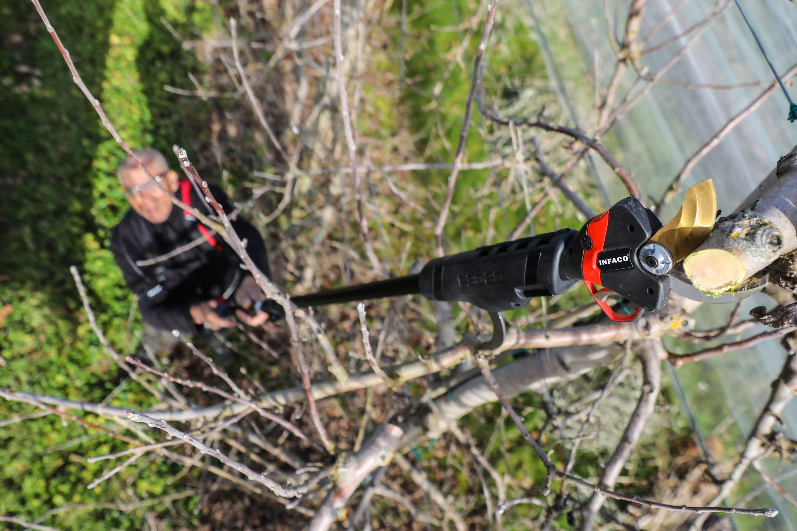 INFACO Extension Pole Options