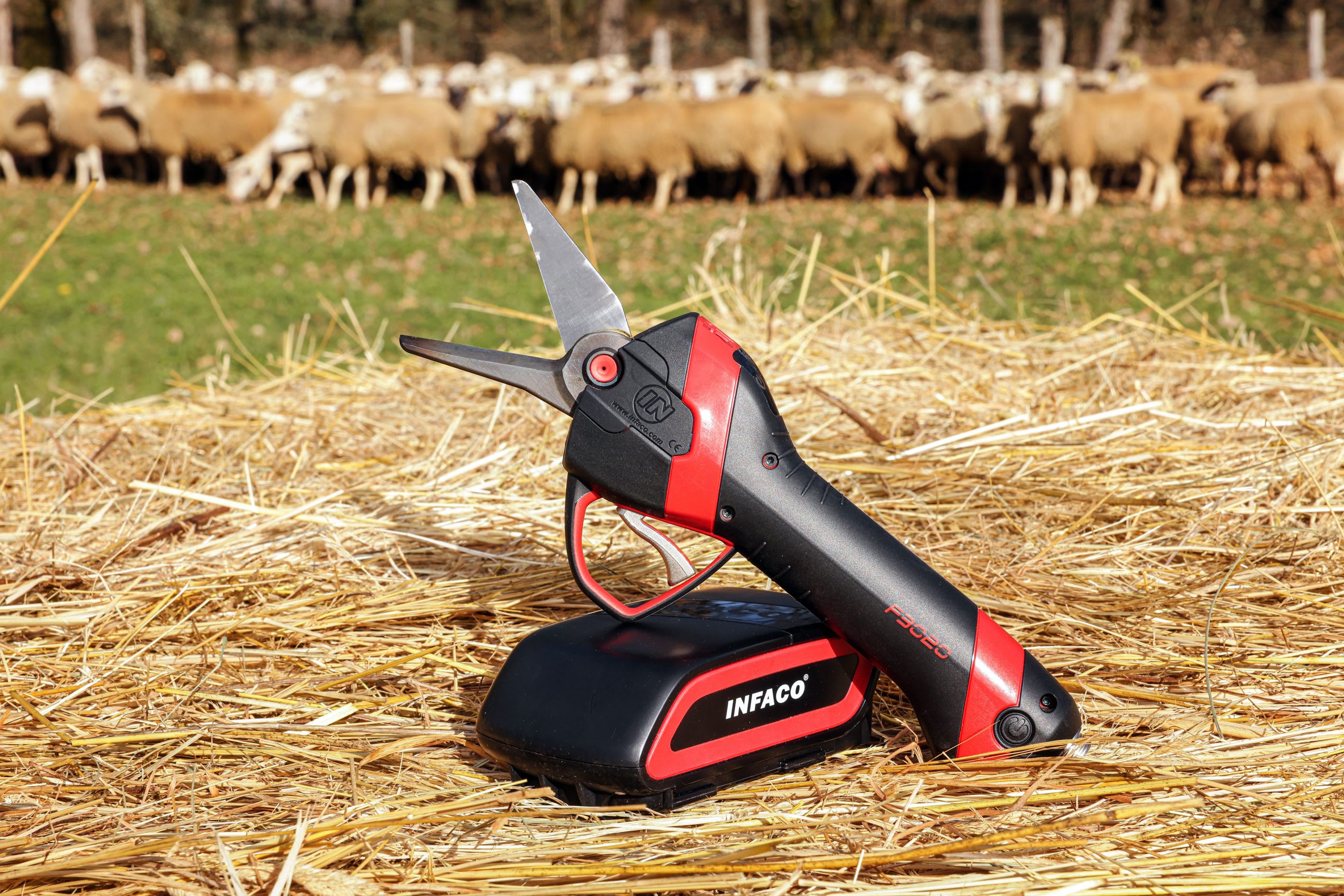 INFACO Hoof Trimmer Blade Kit