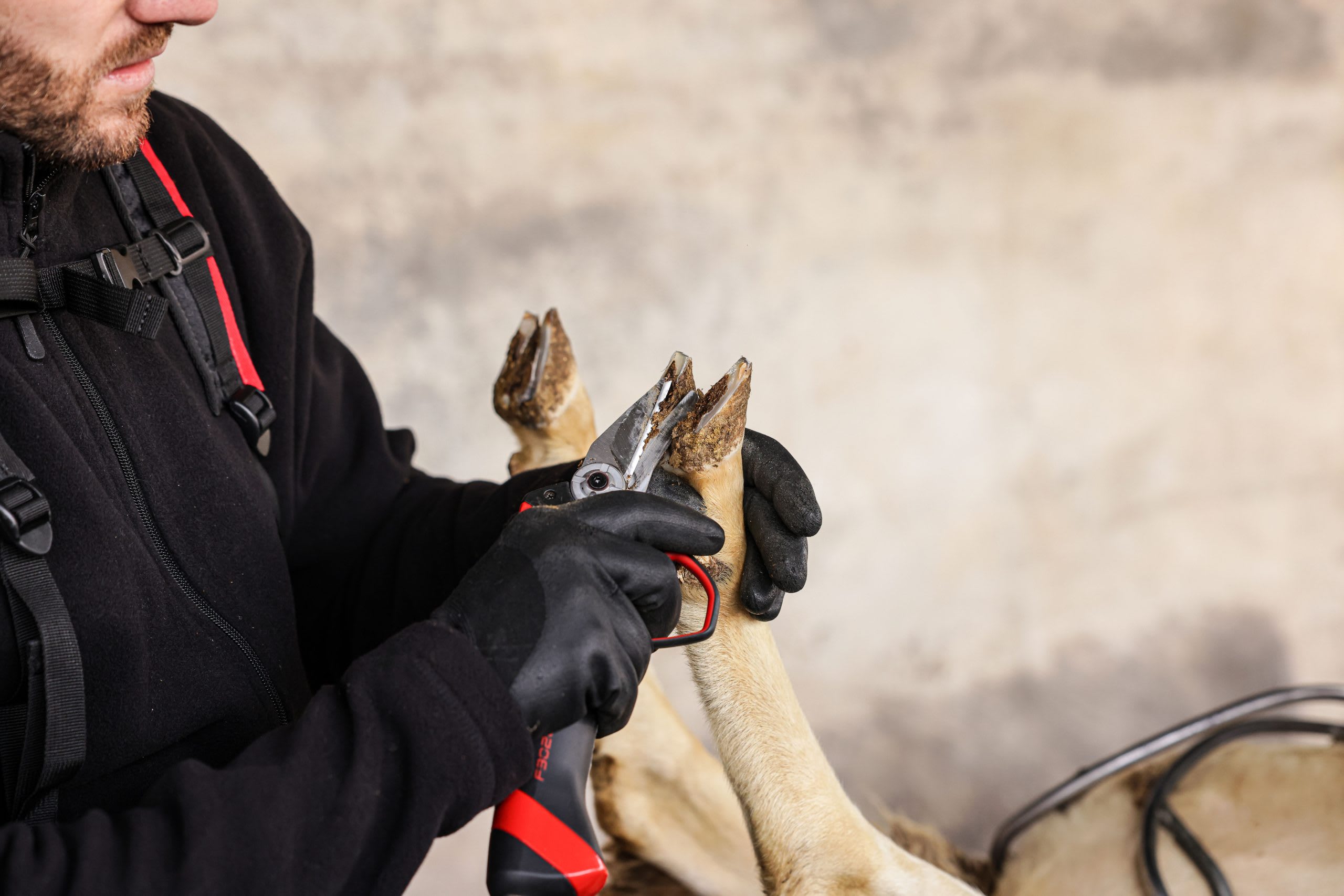 INFACO Hoof Trimmer Blade Kit