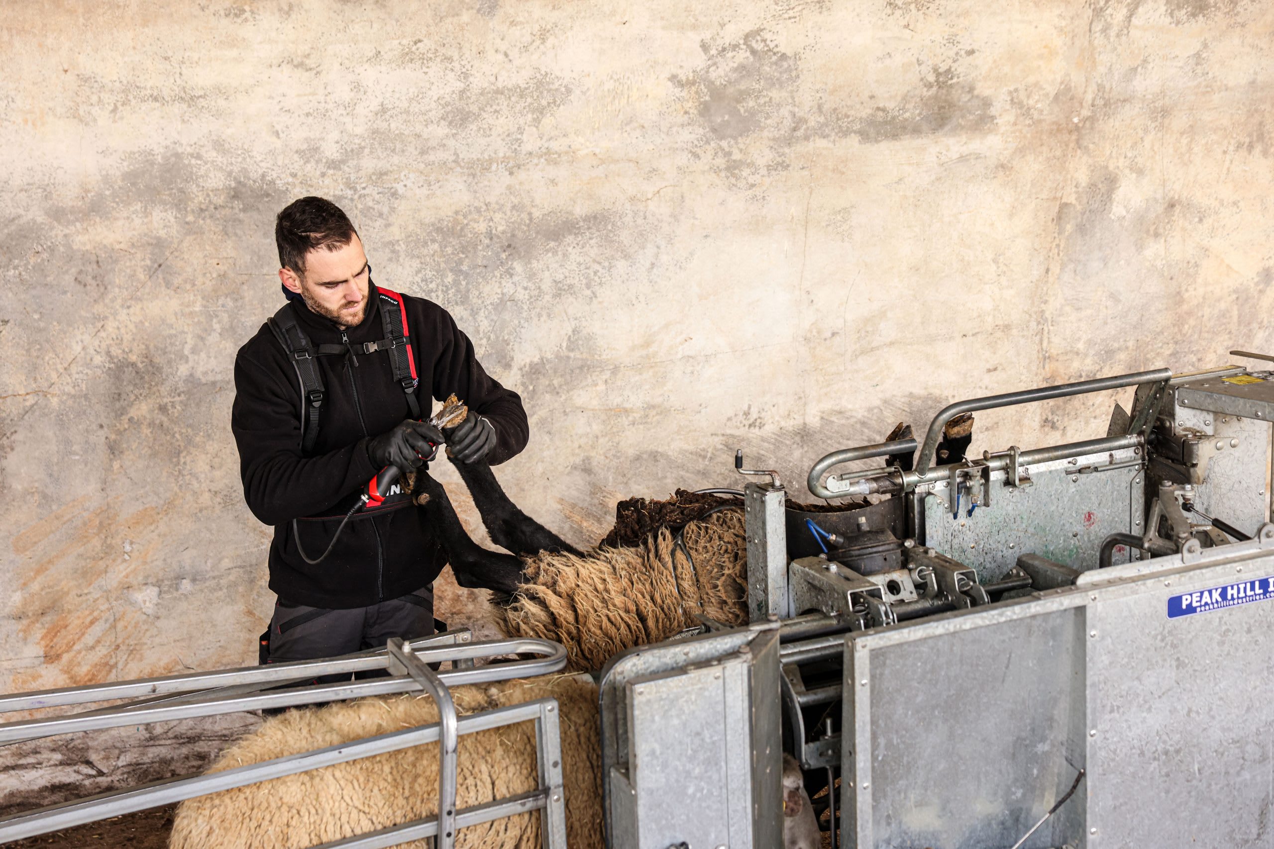 INFACO Hoof Trimmer Blade Kit