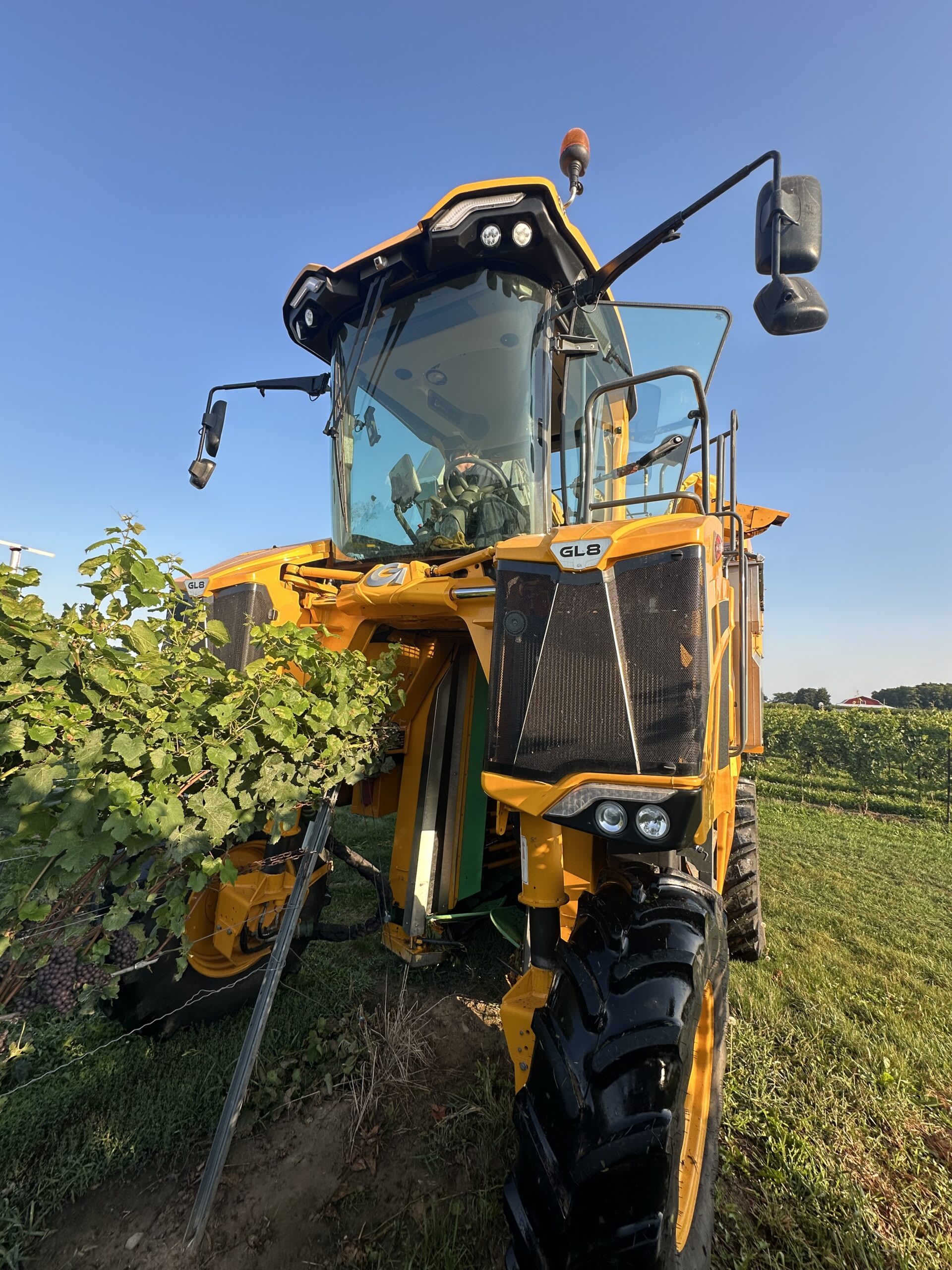 Used 2020 Gregoire GL8.6 Grape Harvester