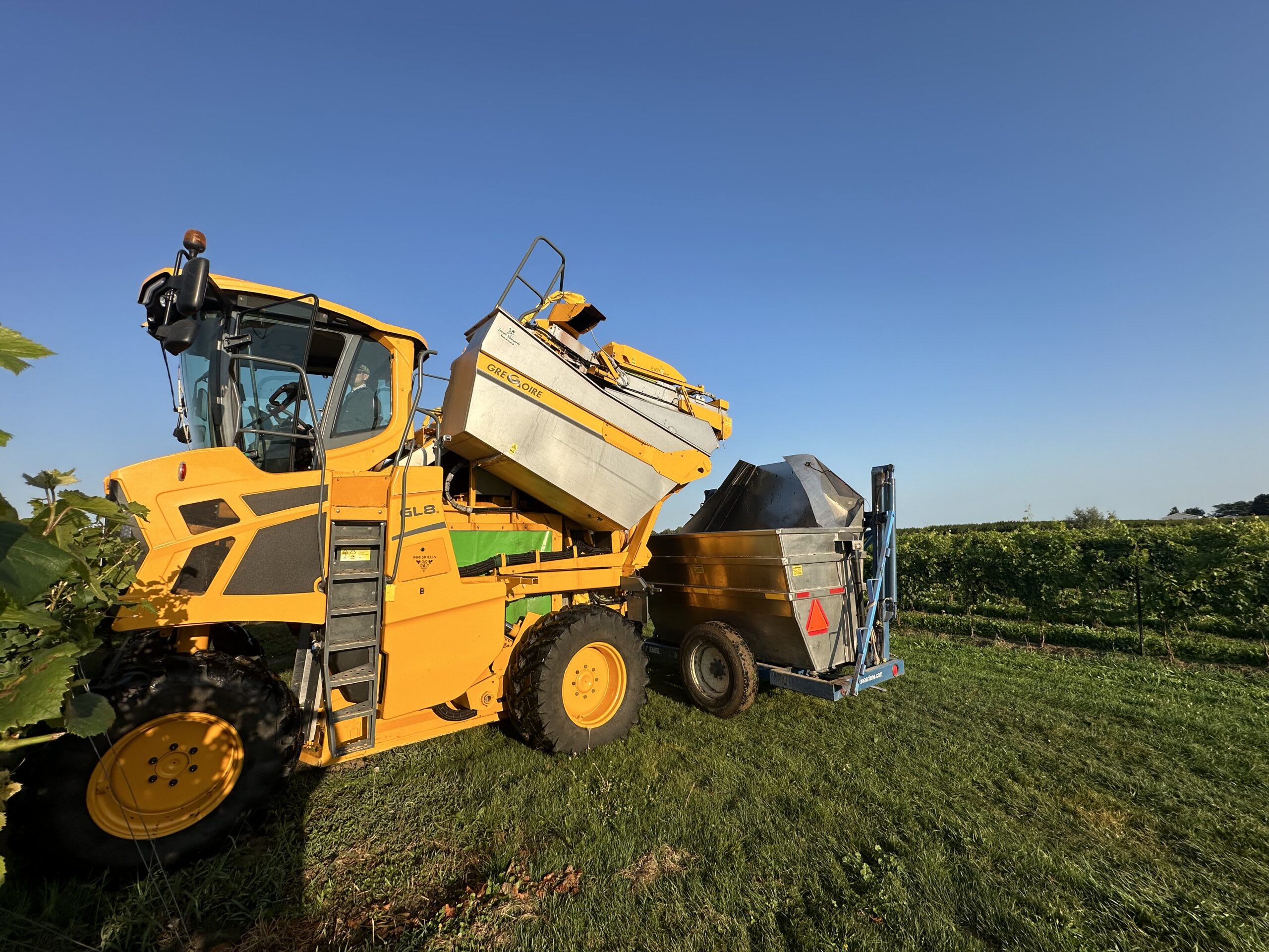 Used 2020 Gregoire GL8.6 Grape Harvester