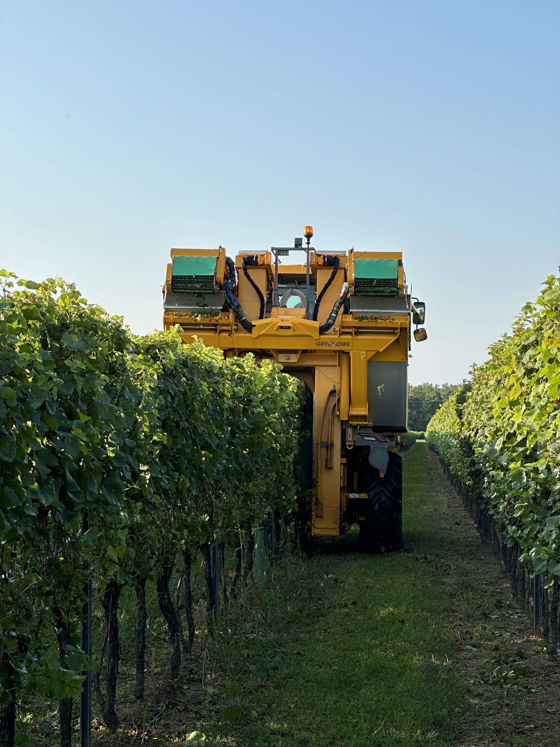 Used 2020 Gregoire GL8.6 Grape Harvester