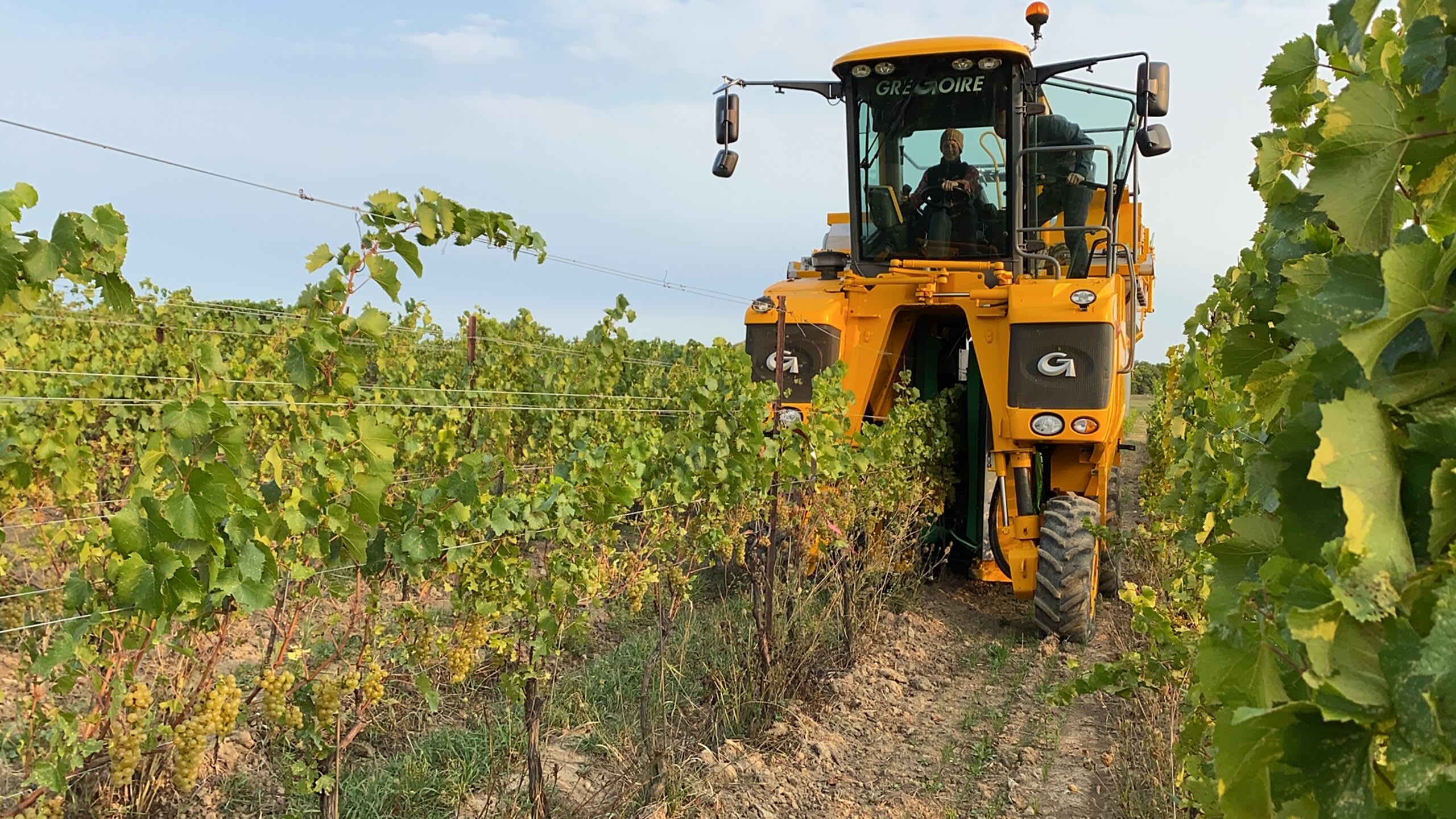 Used 2017 Gregoire G7.210 Grape Harvester + Progress 4-Row Sprayer