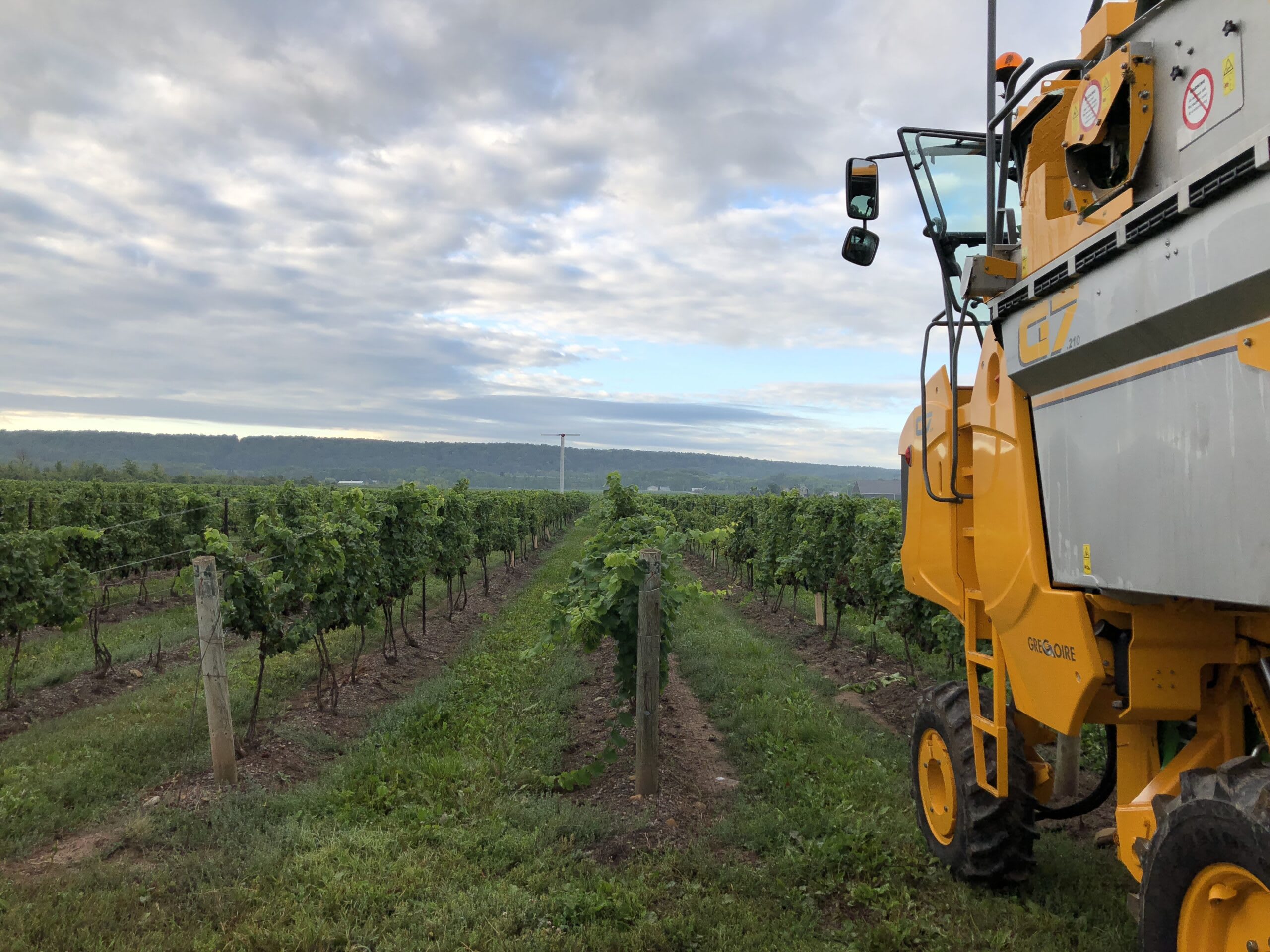 Used 2017 Gregoire G7.210 Grape Harvester + Progress 4-Row Sprayer