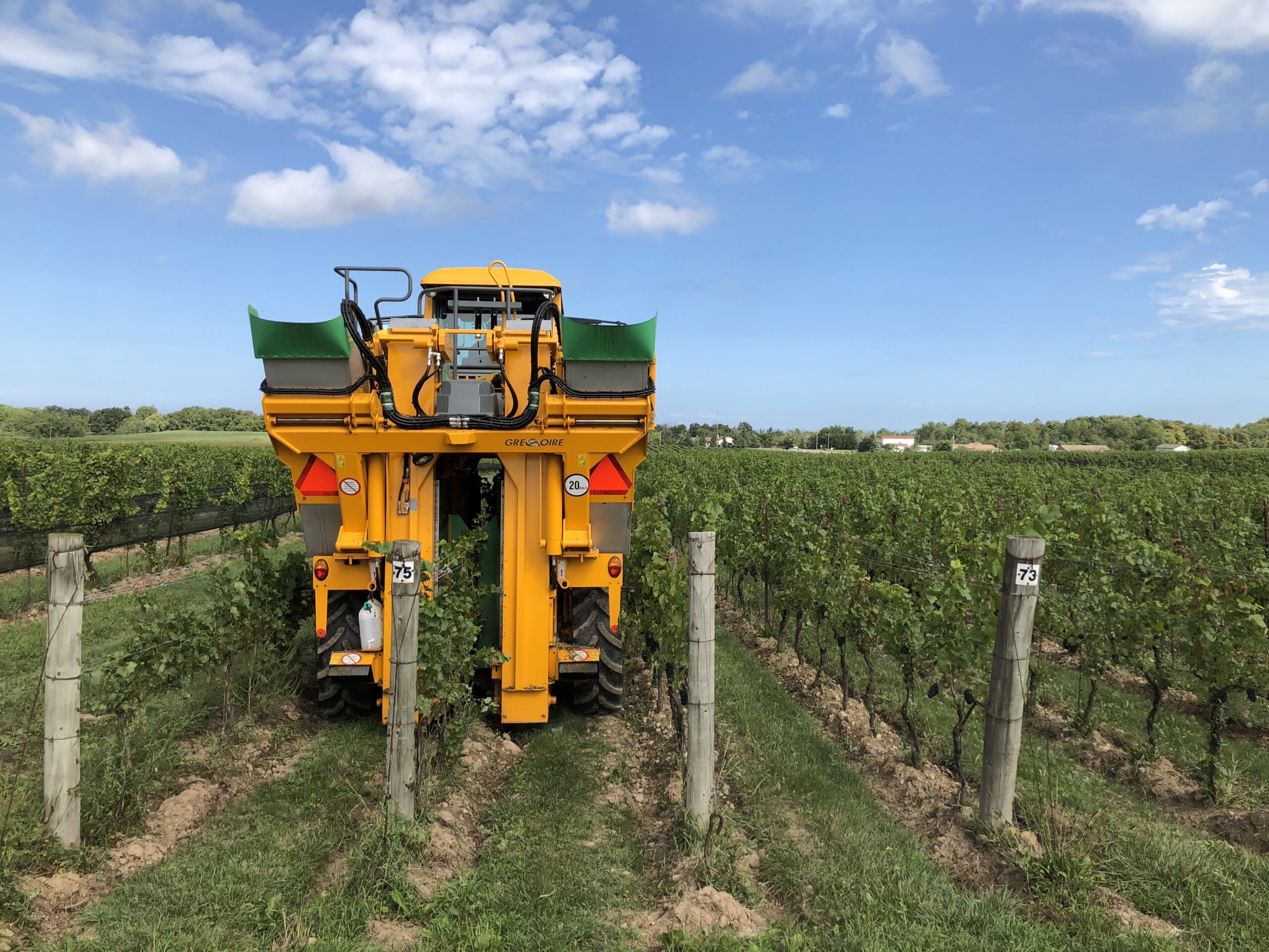 Used 2017 Gregoire G7.210 Grape Harvester + Progress 4-Row Sprayer
