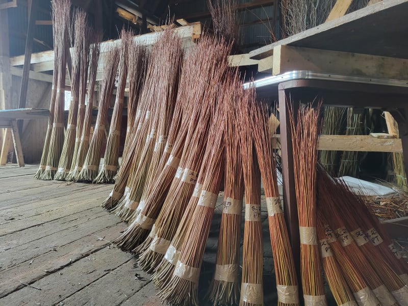 Dried Willow