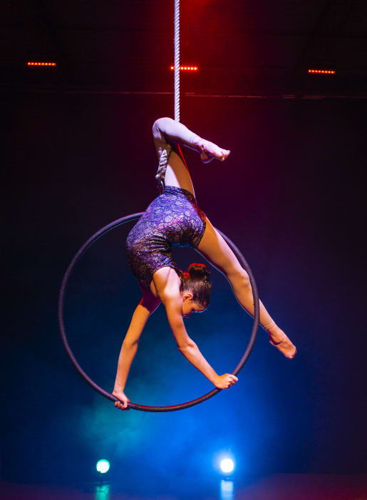 Now or Never Circus Show