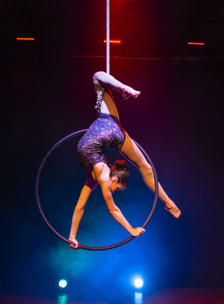 Now or Never Circus Show