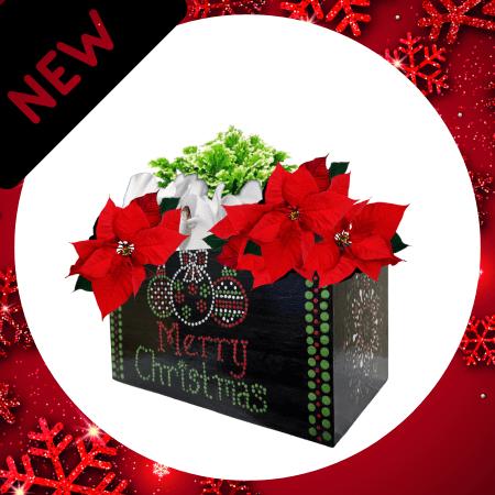 Holiday Painted Centerpiece Planter Workshop