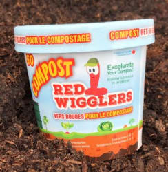 Kids Vermicomposting & Worm Workshop