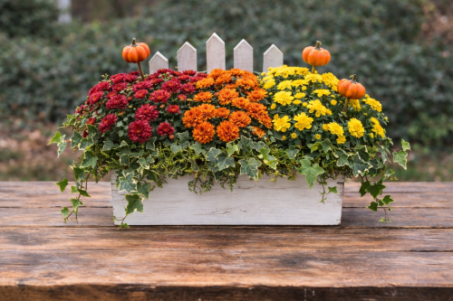 Fall Picket Crate Workshop