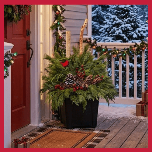 Outdoor Winter Arrangement Workshop 14'' Square - With Birch