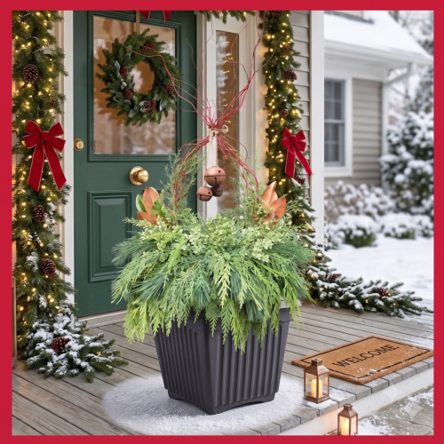 Workshop Holiday Urn 14'' Square - Curly Willow