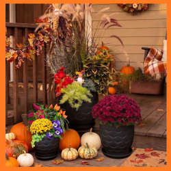 Workshop Fall Triple Urn in Ceramic Pots